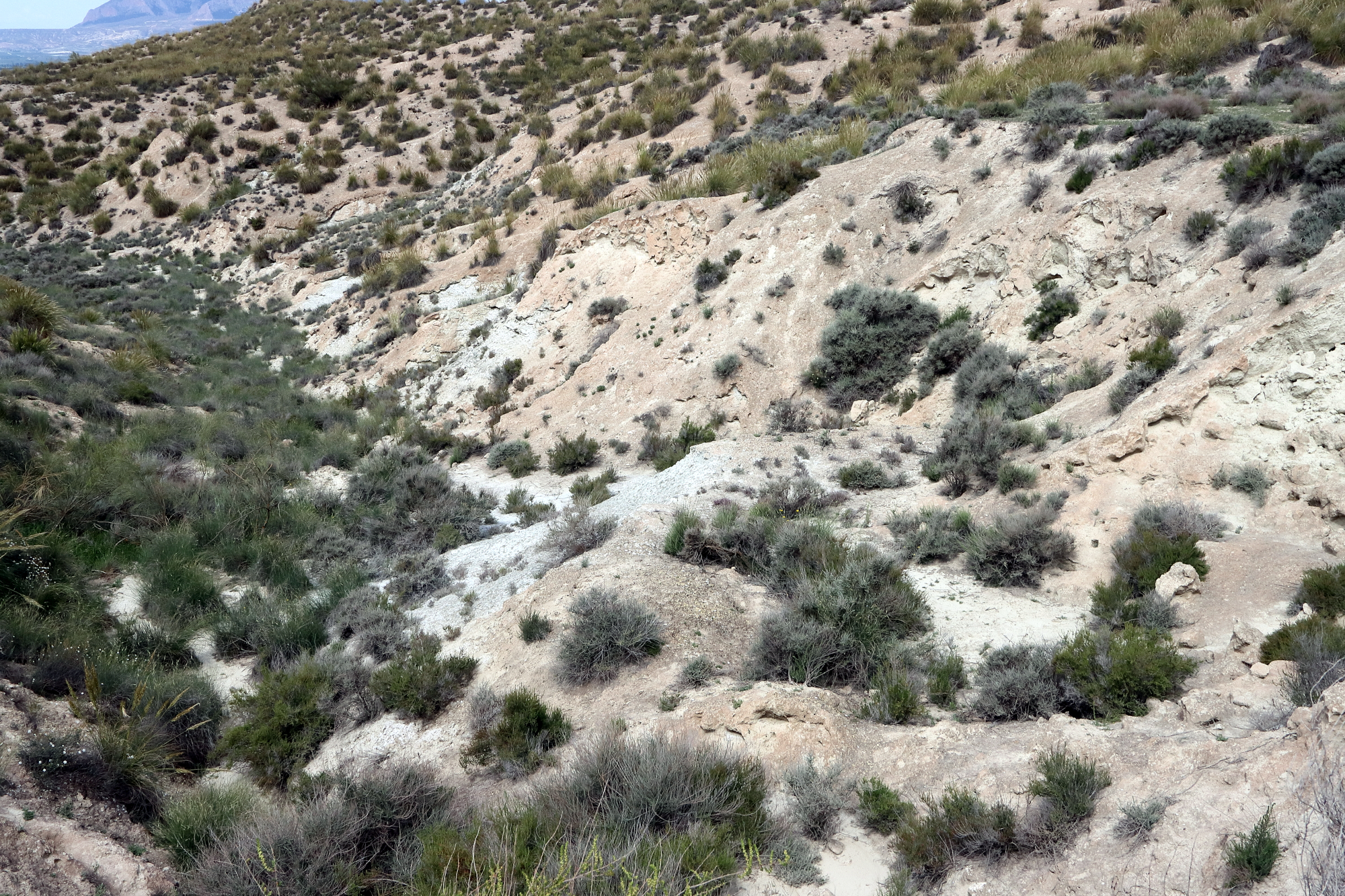 Gypse Gypse Cordillères Bétiques Bassin de Guadix–Baza Baza Hoya de Baza